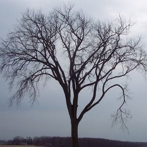 Meet your Posher, Dollie